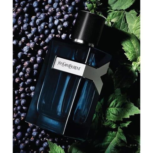 Y Perfume Yves Saint Laurent